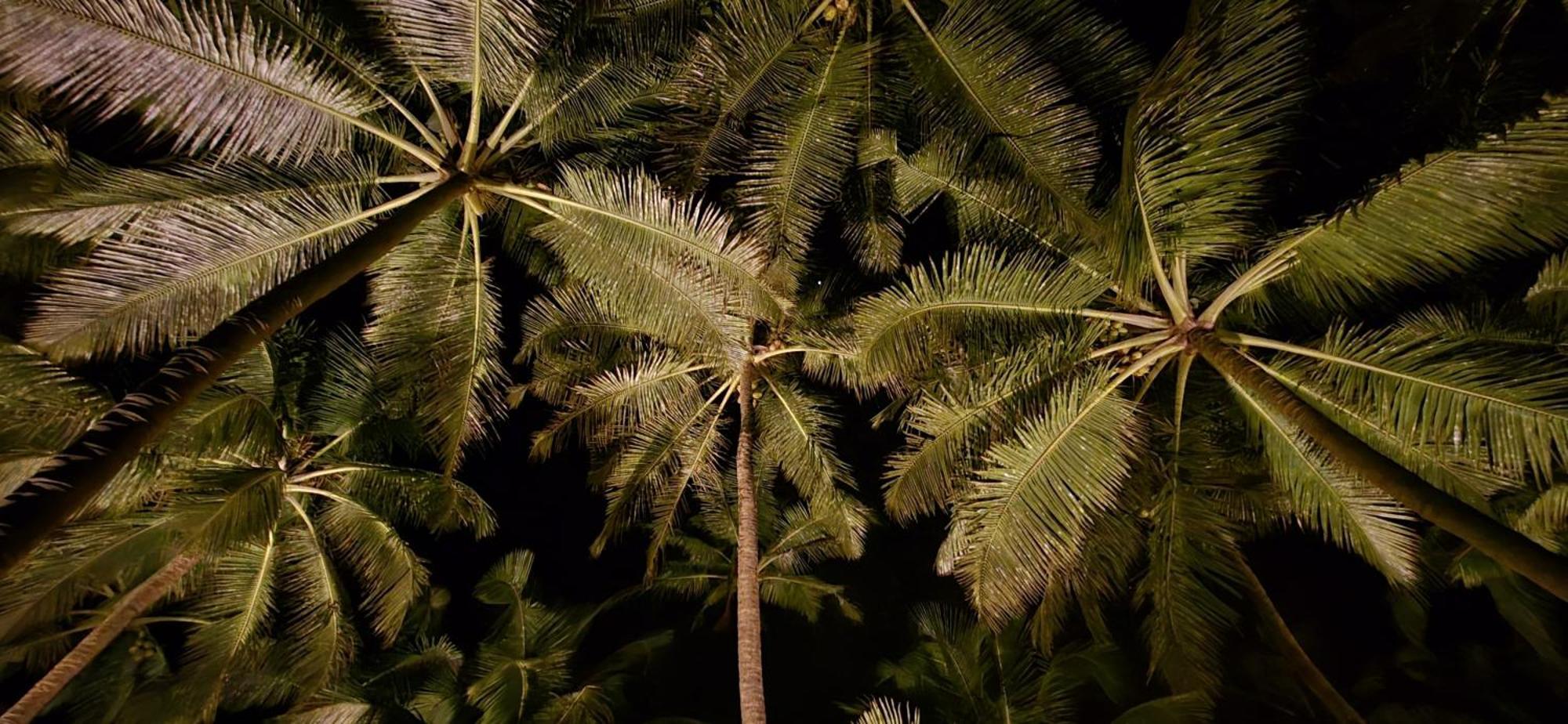 Kurma A Private Beach Kumta Exterior photo